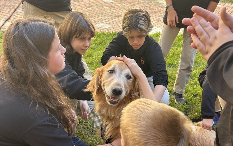 Holistic Development